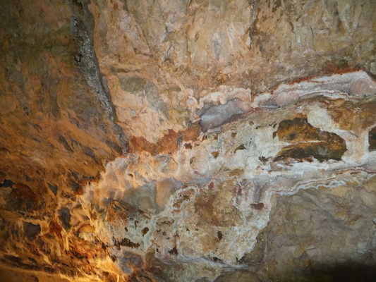 DSCF9655 (08-17-2014 23:40)