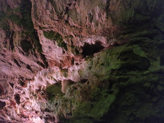 DSCF9656 (08-17-2014 23:40)