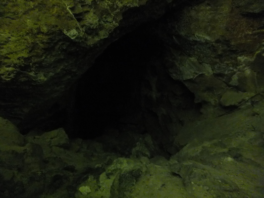 DSCF9663 (08-17-2014 23:55)