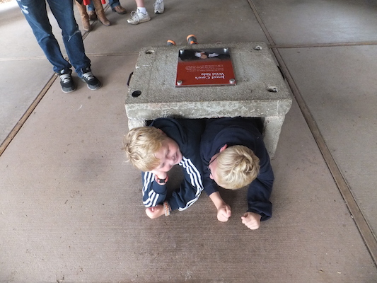 DSCF9664 (08-18-2014 00:13)