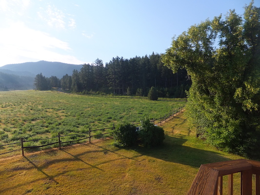 DSCF9673 (08-18-2014 14:26)