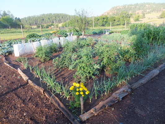 DSCF9680 (08-18-2014 14:40)