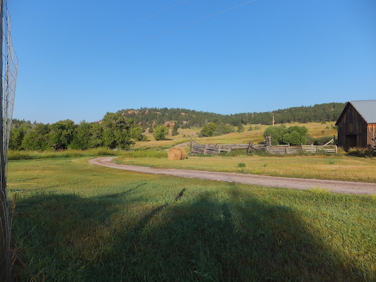 DSCF9681 (08-18-2014 14:41)