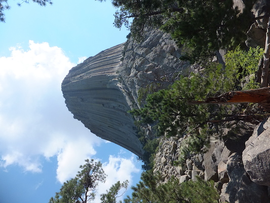 DSCF9711 (08-18-2014 18:34)