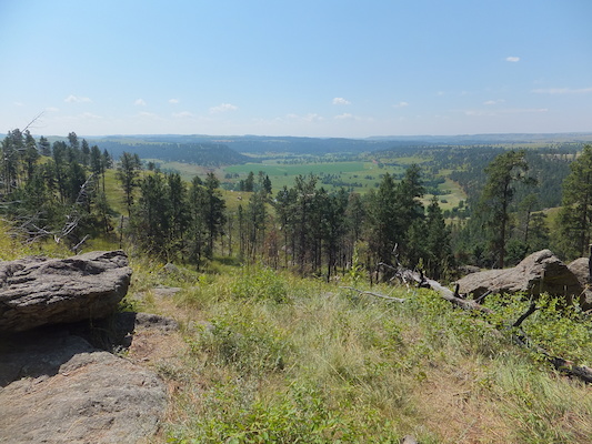 DSCF9712 (08-18-2014 18:37)