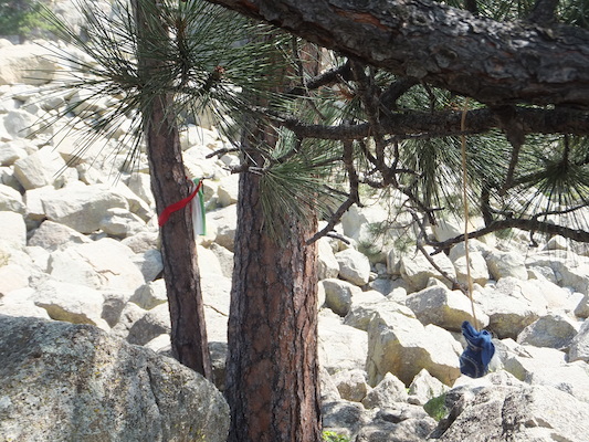 DSCF9722 (08-18-2014 18:41)