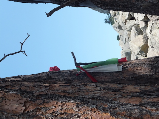 DSCF9723 (08-18-2014 18:42)