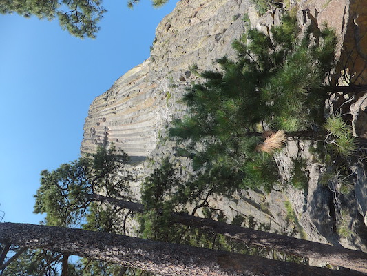 DSCF9725 (08-18-2014 18:52)