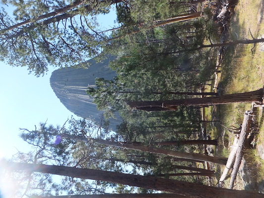 DSCF9726 (08-18-2014 19:05)