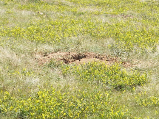 DSCF9735 (08-18-2014 19:36)