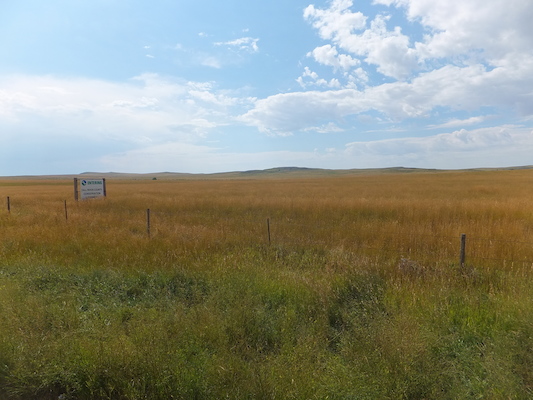 DSCF9761 (08-19-2014 17:42)