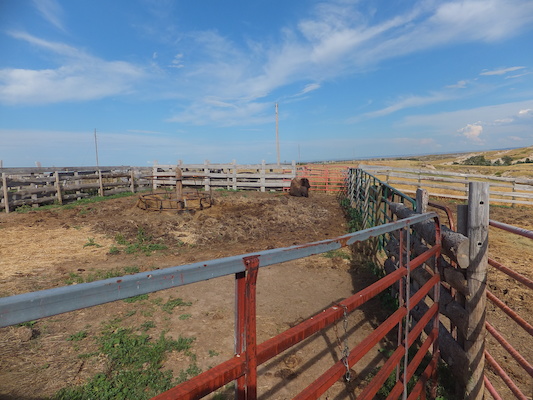 DSCF9783 (08-19-2014 23:51)