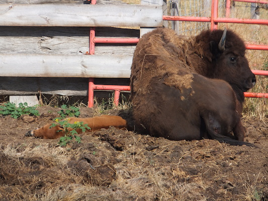 DSCF9784 (08-19-2014 23:52)