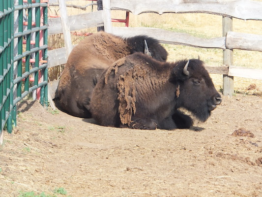 DSCF9785 (08-19-2014 23:52)