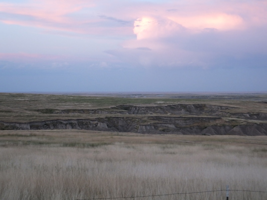 DSCF9797 (08-20-2014 03:08)