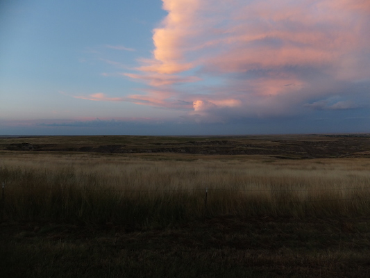 DSCF9800 (08-20-2014 03:09)