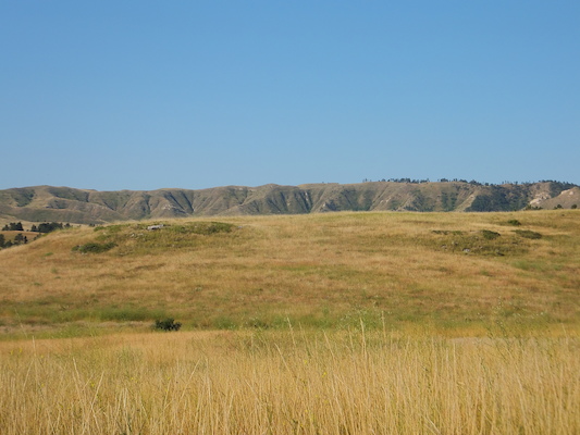 DSCF9801 (08-20-2014 15:40)