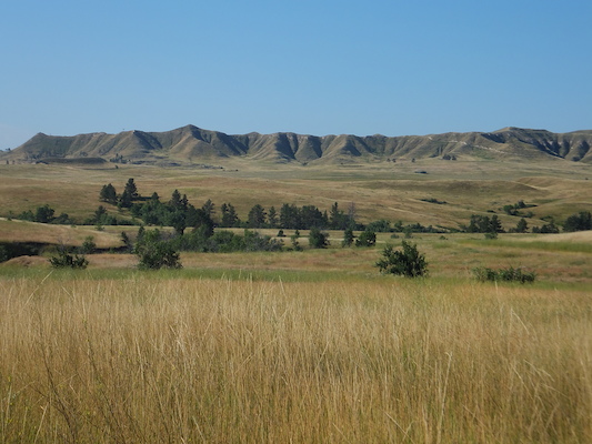 DSCF9802 (08-20-2014 15:40)