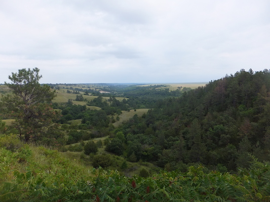 DSCF9813 (08-20-2014 22:05)