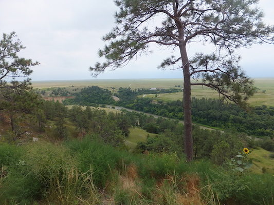 DSCF9814 (08-20-2014 22:07)