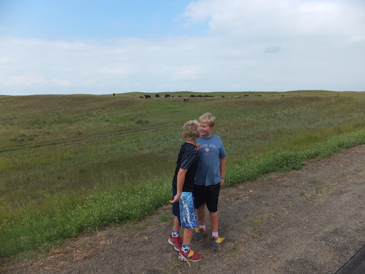 DSCF9815 (08-20-2014 22:19)