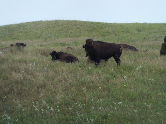 DSCF9817 (08-20-2014 22:19)