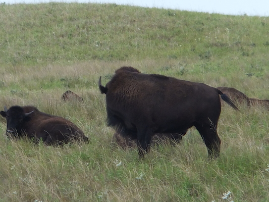 DSCF9818 (08-20-2014 22:19)