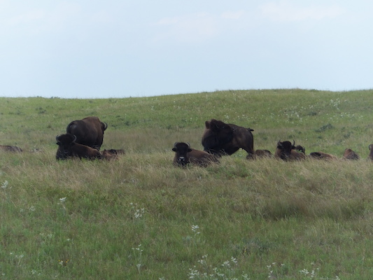 DSCF9819 (08-20-2014 22:19)