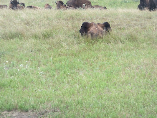 DSCF9820 (08-20-2014 22:20)