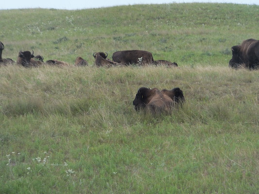 DSCF9821 (08-20-2014 22:20)