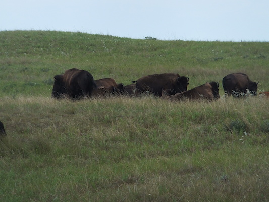 DSCF9822 (08-20-2014 22:20)