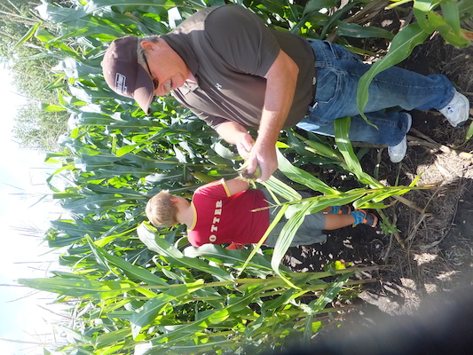 DSCF9874 (08-22-2014 18:04)