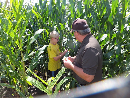 DSCF9875 (08-22-2014 18:04)