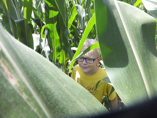 DSCF9876 (08-22-2014 18:06)