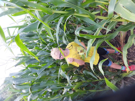 DSCF9877 (08-22-2014 18:07)