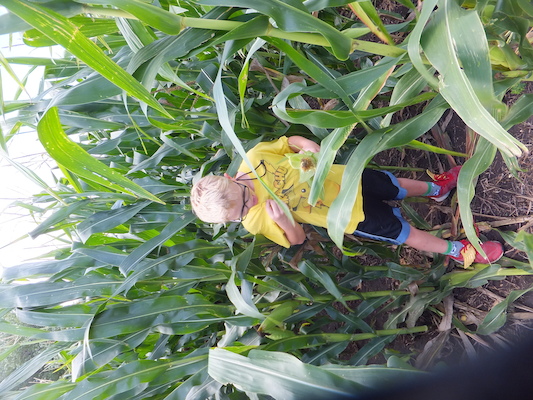 DSCF9878 (08-22-2014 18:07)