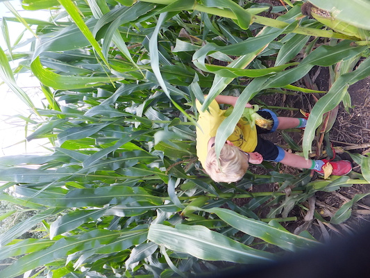 DSCF9879 (08-22-2014 18:07)