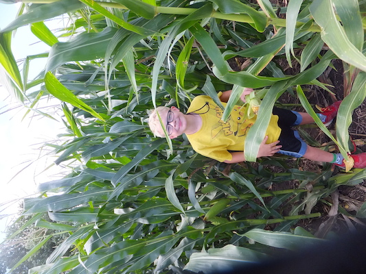 DSCF9880 (08-22-2014 18:07)