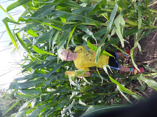 DSCF9881 (08-22-2014 18:07)