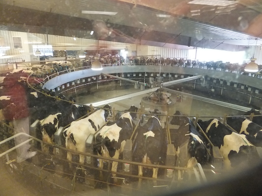 DSCF9888 (08-22-2014 19:58)