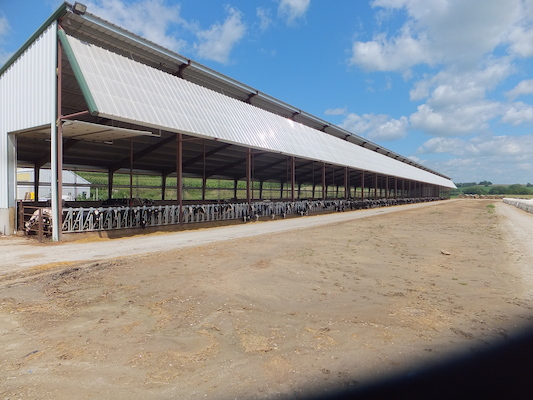 DSCF9890 (08-22-2014 20:59)