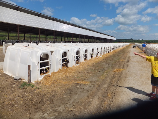 DSCF9891 (08-22-2014 20:59)