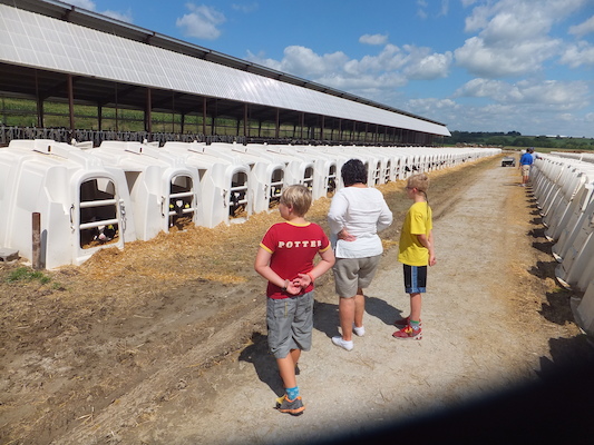 DSCF9892 (08-22-2014 21:00)