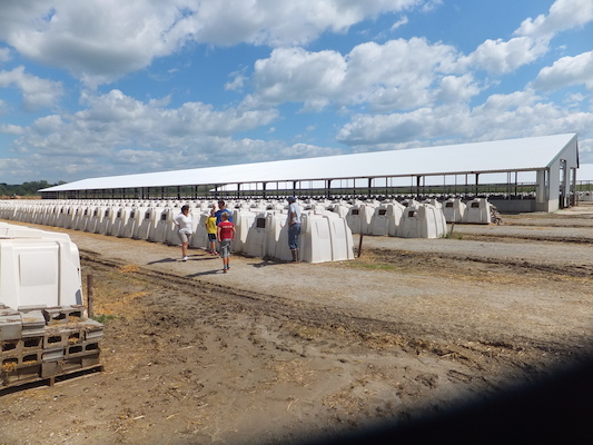 DSCF9894 (08-22-2014 21:01)