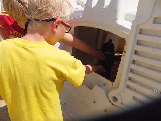 DSCF9895 (08-22-2014 21:01)