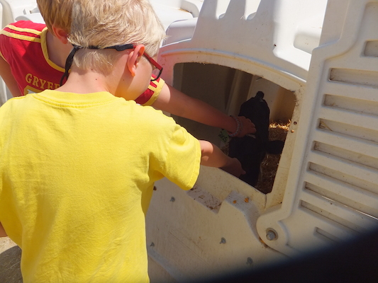 DSCF9896 (08-22-2014 21:01)