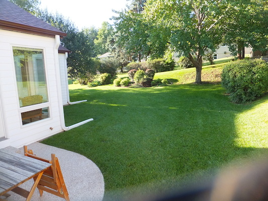 DSCF9905 (08-23-2014 14:24)