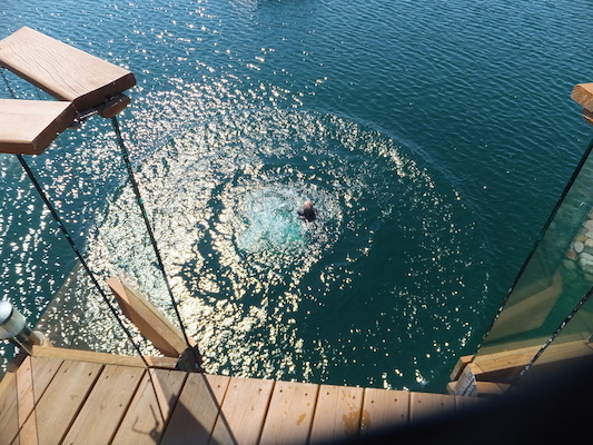 DSCF9929 (08-23-2014 17:03)