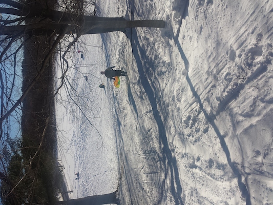 IMG_20150131_144149 (01-31-2015 14:41)