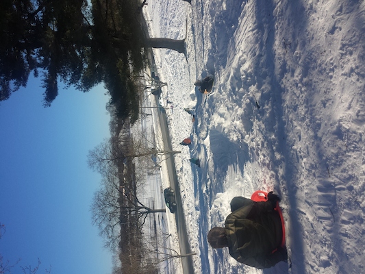 IMG_20150131_145121 (01-31-2015 14:51)